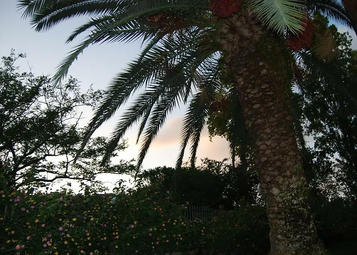 Roma Eur Bed & Breakfast
